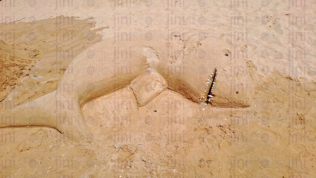 Sand of a beach in Egypt & a creative Art work on the sand in the shape of a shark.