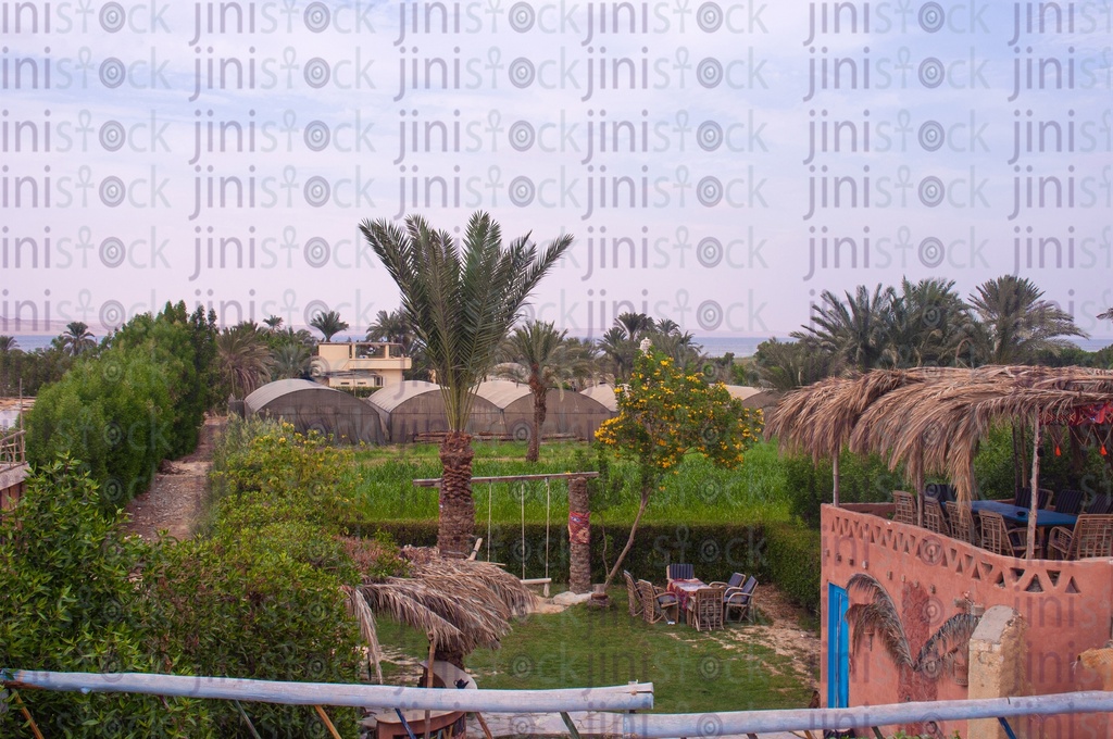 An Egyptian farm in Tunisia village in Fayoum Egypt ..  مزرعة مصرية فى قرية تونس بالفيوم