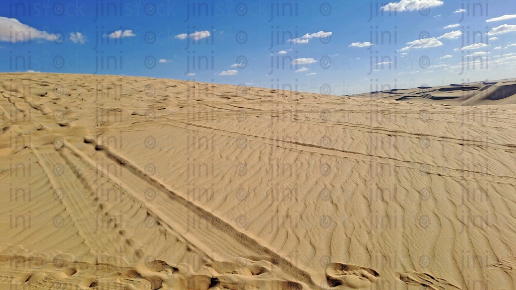   سفارى الصحراء فى سيوة