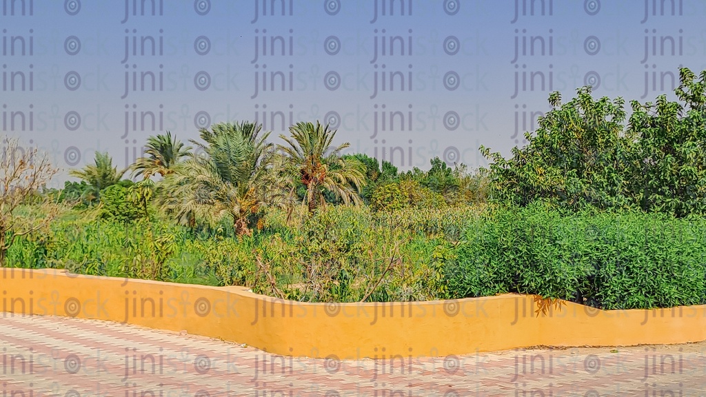 a Farm in the countryside in Egypt surrounded by fence