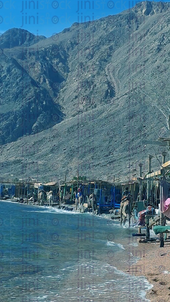 الجمال تمشي على شاطئ دهب ، جنوب سيناء مصر.