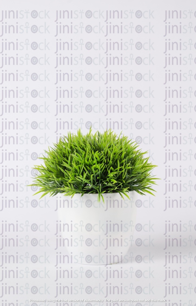 plastic green plant pod