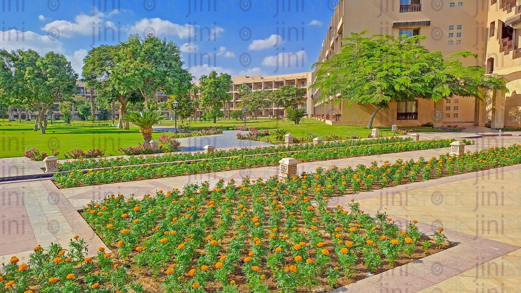 green garden in a hotel as a background for designs, a pathway for people to cross among green grasses, flowers, and plants.