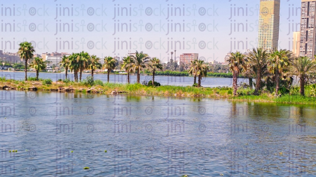 نهر النيل العظيم، وأشجار النخيل، والأعشاب الخضراء - كورنيش النيل - كورنيش المعادي