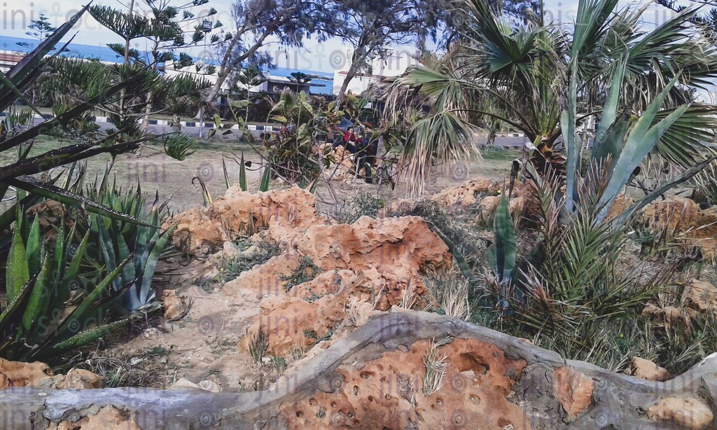 حديقة خلابة على شاطئ البحر في الإسكندرية مصر