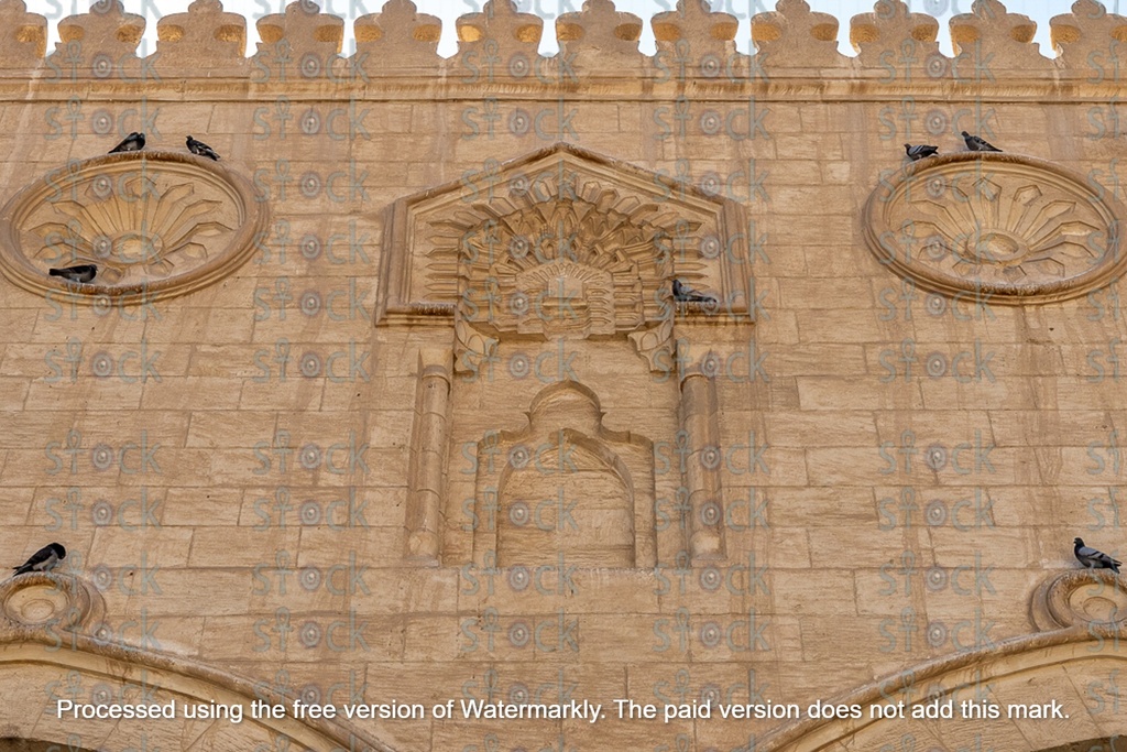 Pigeons on the walls of mosques