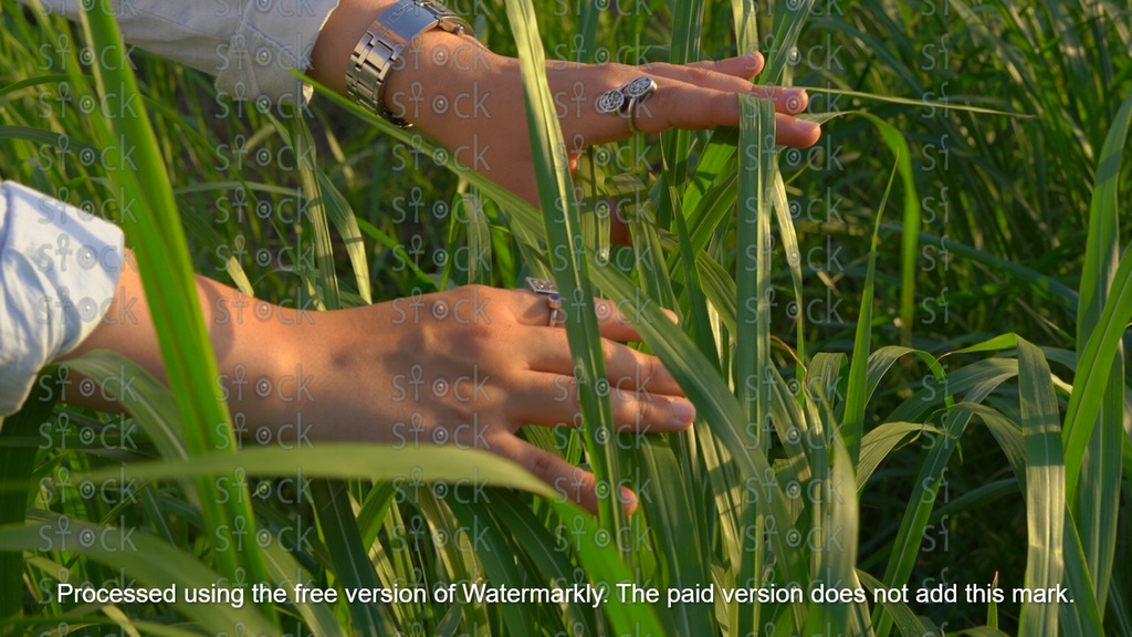 The splendor of the Egyptian countryside