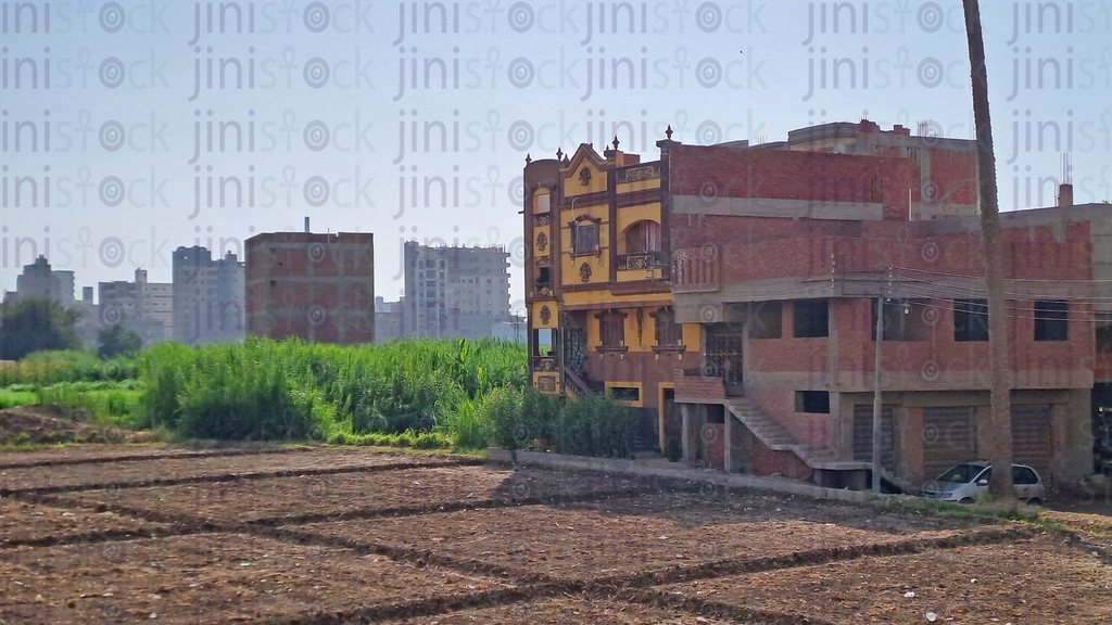 An Egyptian farm in the countryside with rural buildings