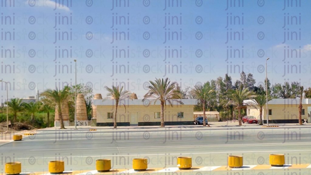An empty street, palm trees, and Pigeon Towers.