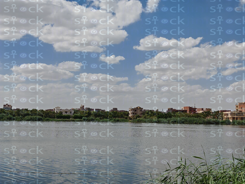 المرسى النابض بالحياة على بحيرة التمساح