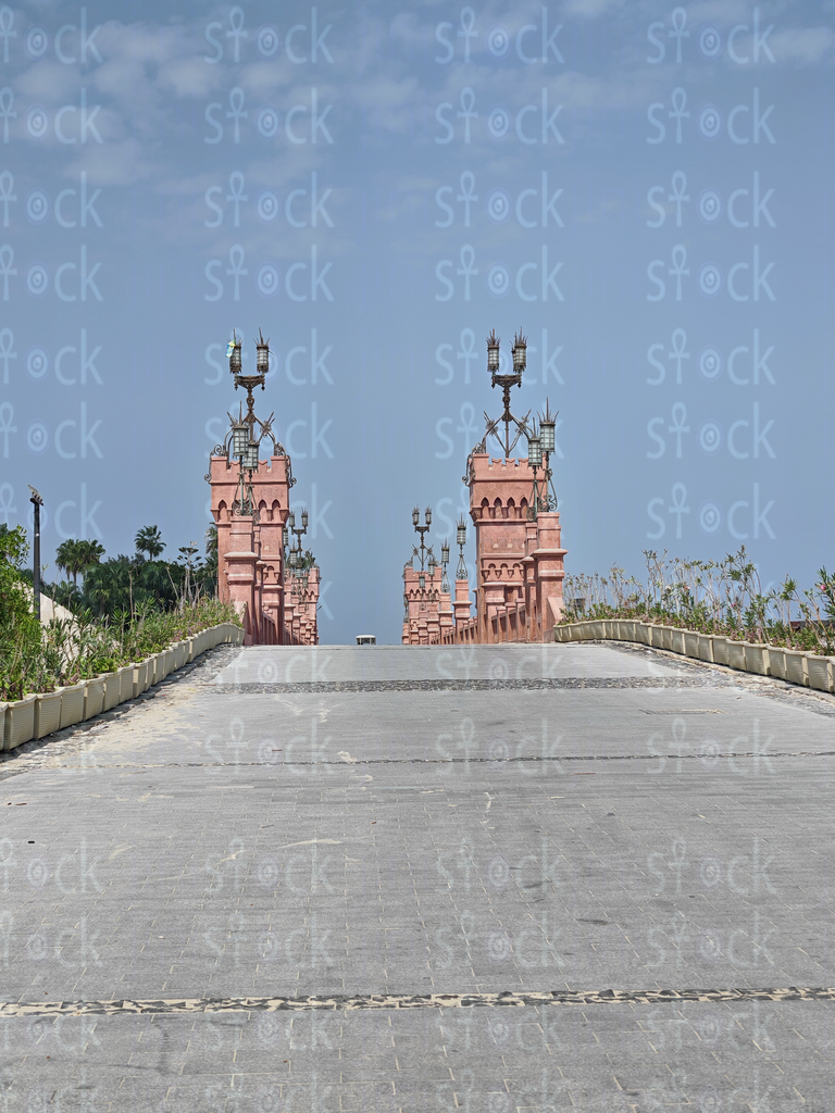 البرجان التوأم المحيطان بمدخل القصر