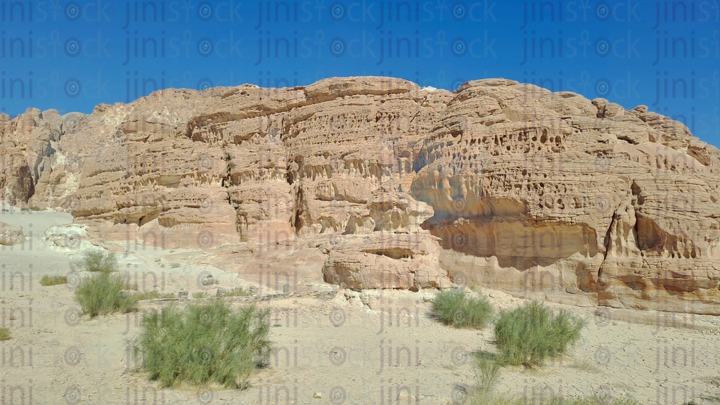 Sinai mountains and plants in South Sinai, Egypt.