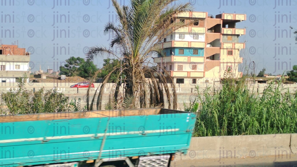 البناء الريفي والنباتات والنخيل في الريف المصري