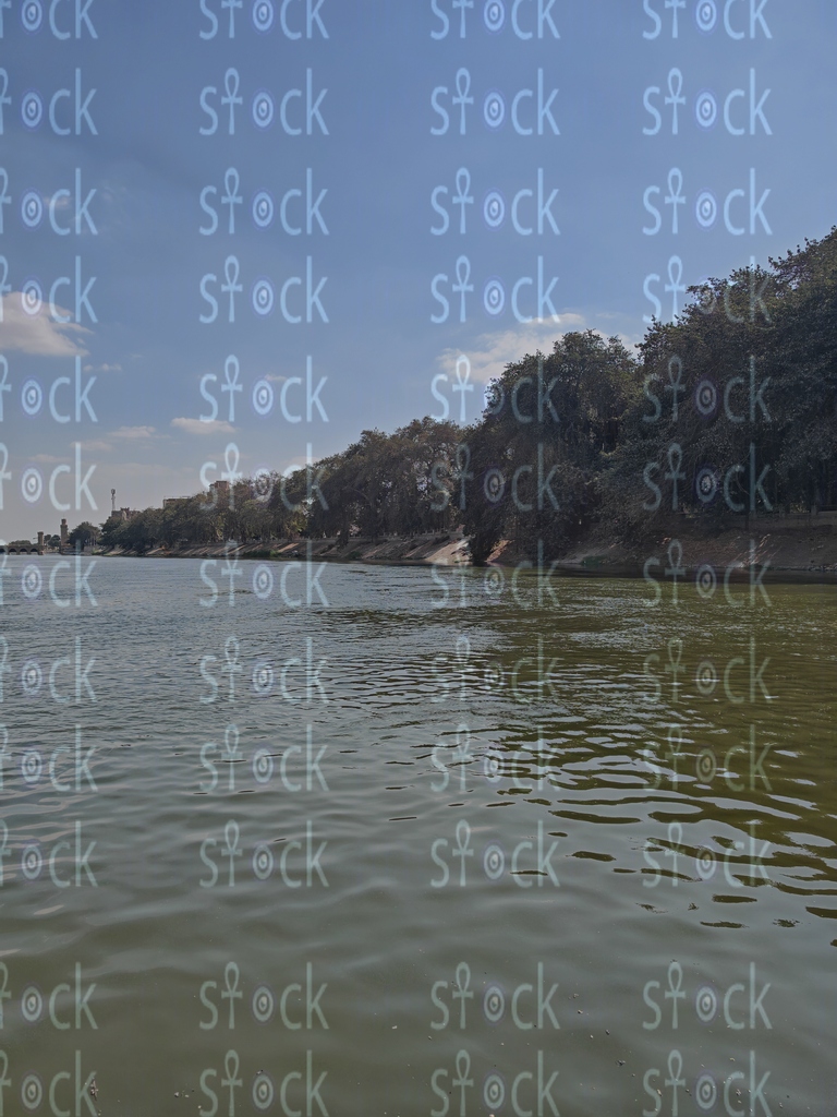 Sun Setting Over the Rosetta Branch