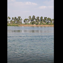  مناطق زراعية على النيل في مصر