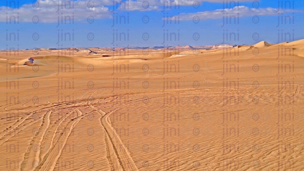 سفارى الصحراء فى سيوة