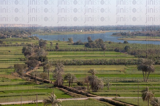 Top view of green fields or farms in the countryside
