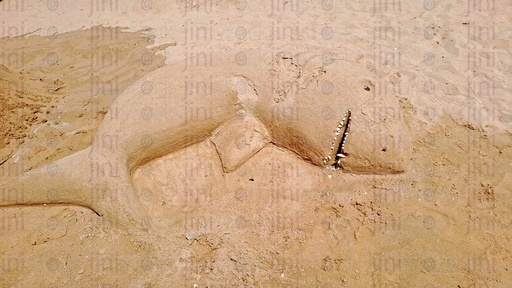 Sand of a beach in Egypt & a creative Art work on the sand in the shape of a shark.