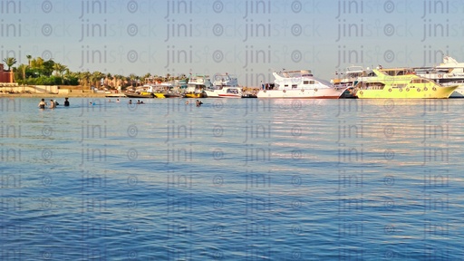 يخوت وناس تعوم فى البحر .. yachts and people swimming in the red sea