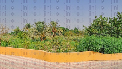 a Farm in the countryside in Egypt surrounded by fence