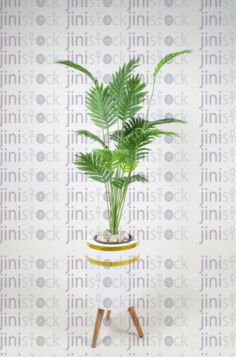 A large tree to be placed as a decorative piece in the office or room. 