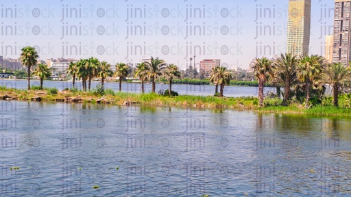نهر النيل العظيم، وأشجار النخيل، والأعشاب الخضراء - كورنيش النيل - كورنيش المعادي