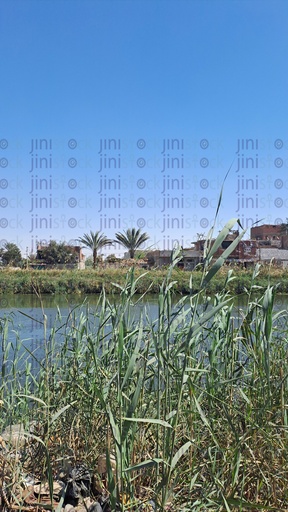 الريف في مصر أو صعيد مصر.