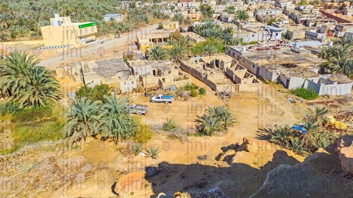 top view of buildings and palm trees in Siwa oasis