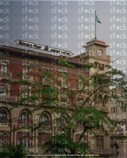 A picture of one of the branches of Bank Misr, and the building is characterized by its classical architectural design.