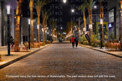 متعة النزهة ليلا