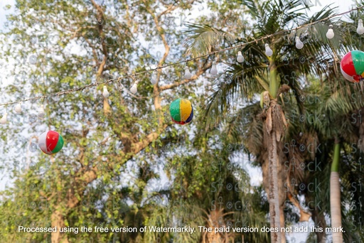 اشجار نخيل مزينه بمصابيح للاناره