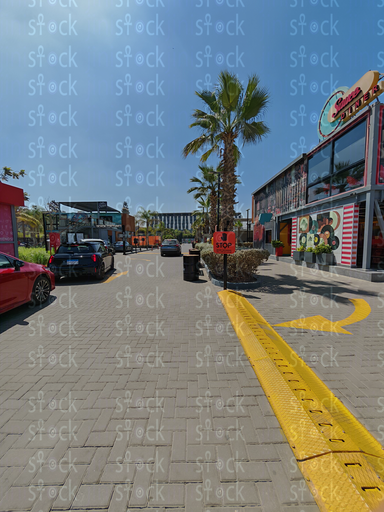 Palm trees by the mall