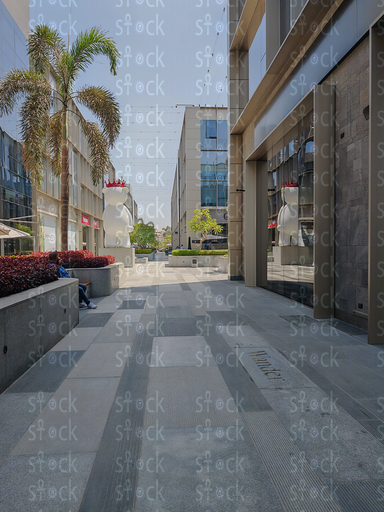 الساحه المؤديه تمثال الدب الابيض