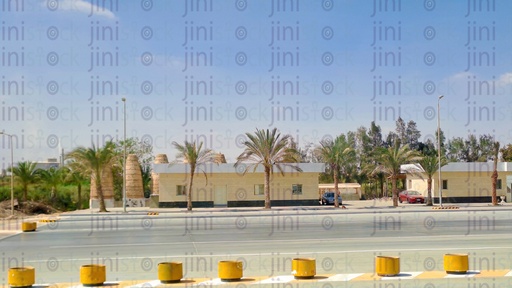 An empty street, palm trees, and Pigeon Towers.