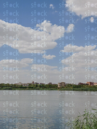 الصفاء الهادئ لبحيرة التمساح