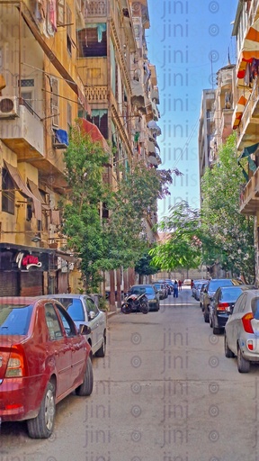 أحد شوارع بورسعيد التي لم تمر بها أي سيارات.