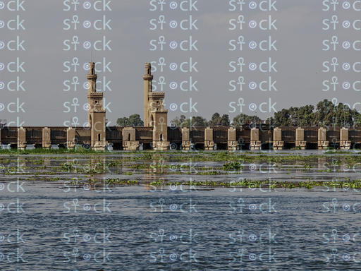 ممشى مظلل بأشجار كثيفة في حديقة القناطر