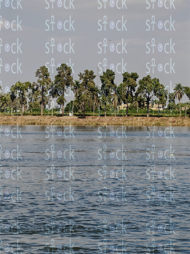 سحر الريف بجوار النيل الجاري